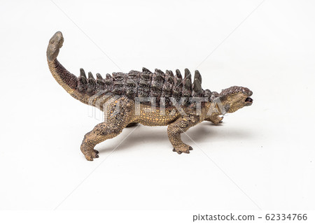 Ankylosaurus Dinosaur on white background . 62334766