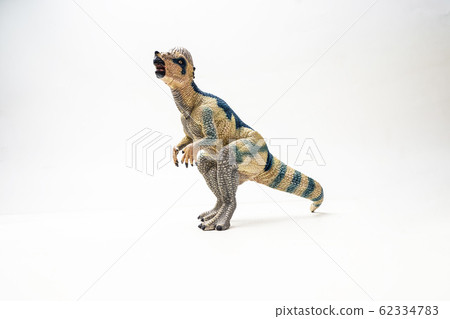 Pachycephalosaurus Dinosaur on white background . Pachycephalosaurus Dinosaur on white background . 62334783