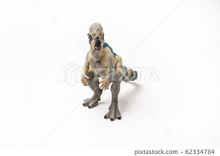 Pachycephalosaurus  Dinosaur on white background  . 62334784