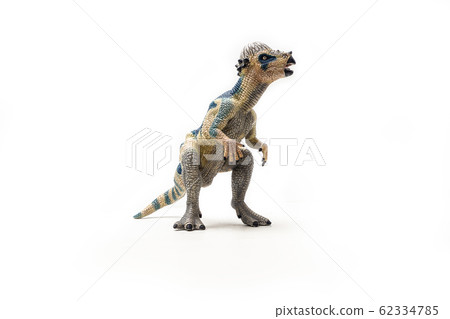 Pachycephalosaurus  Dinosaur on white background  . 62334785