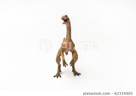 Compsognathus  Dinosaur on white background  . 62334805
