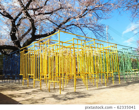 Jungle gym and cherry blossoms Yoshino Somei Yoshino Somei 62335041