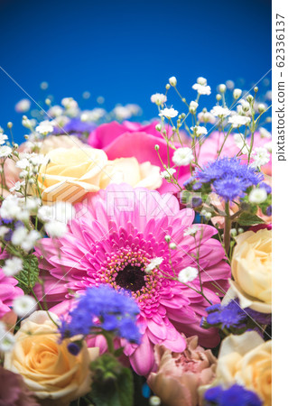 花籃 花籃 62336137