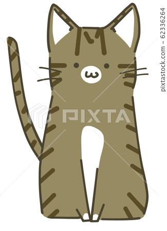 Sitting Kijitra cat - Stock Illustration [62336264] - PIXTA