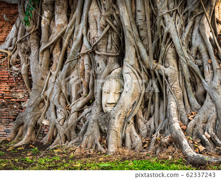 Thailand Ayutthaya Ruins Wat Mahathat Thailand Ayutthaya Ruins Wat Mahathat 62337243