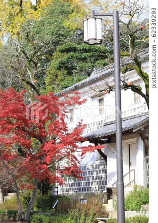 EOS鎌倉町屋公園2018no11 EOS鎌倉町屋公園2018no11 62339293