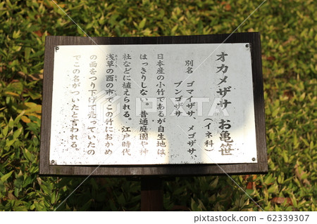 EOS Kamogata Machiya Park 2018no24 EOS Kamogata Machiya Park 2018no24 62339307