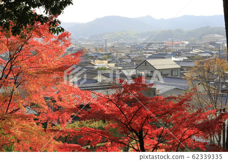 EOS Kamogata Machiya Park 2018no49 EOS Kamogata Machiya Park 2018no49 62339335