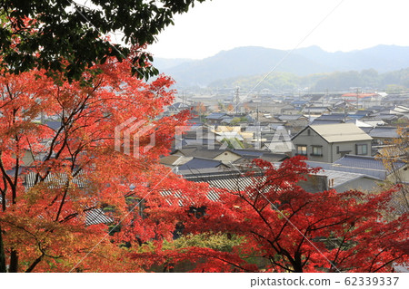 EOS鎌倉町屋公園2018no50 EOS鎌倉町屋公園2018no50 62339337