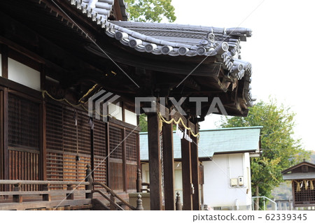 EOS鎌倉町屋公園2018no58 EOS鎌倉町屋公園2018no58 62339345