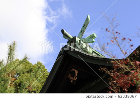EOS鎌倉町屋公園2018no71 EOS鎌倉町屋公園2018no71 62339367