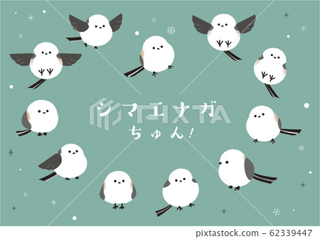 Illustration of Shimaenaga Assorted Set 62339447