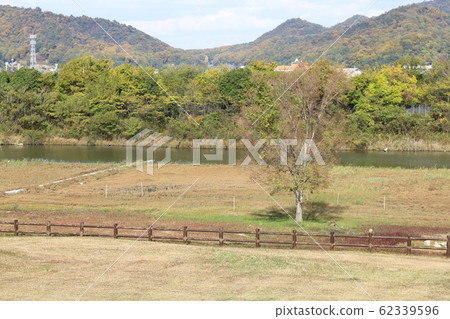 EOS橫島2018no12 62339596