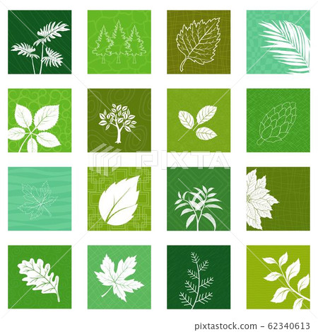 Collection of nature leaves icons 62340613