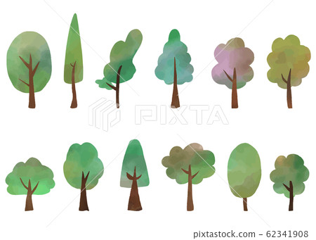 Watercolor texture tree illustration set Watercolor texture tree illustration set 62341908