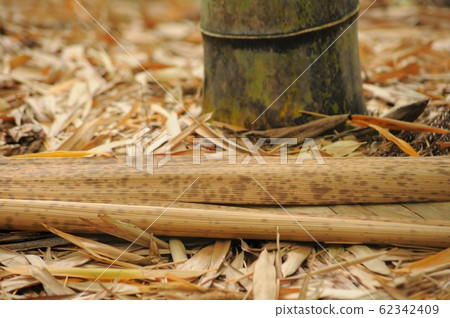 Bamboo skin Bamboo skin 62342409