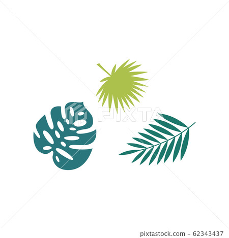 Set of palm tropical leaves exotic shape flat... - Stock Illustration ...