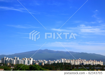 Jeju airport, airport, airplane, flower, spring flower, Halla mountain, Jeju airport, airport, airplane, flower, spring flower, Halla mountain, 62343705