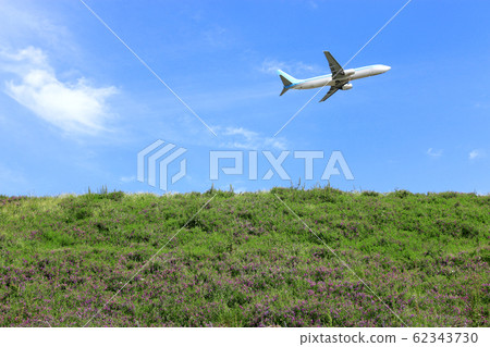 Jeju airport, airport, airplane, flower, spring flower, Halla mountain, 62343730