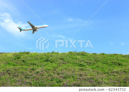 Jeju airport, airport, airplane, flower, spring flower, Halla mountain, 62343732