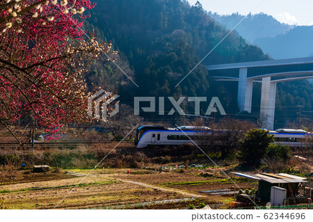 Chuo Line running through the village forest 62344696