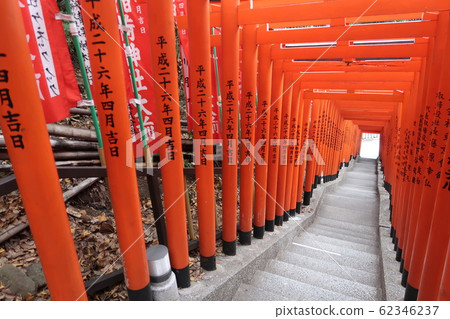Senbon Torii at Inari Shrine at Hie Shrine 62346237