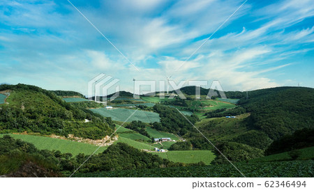 安萬通吉高溫白菜 62346494