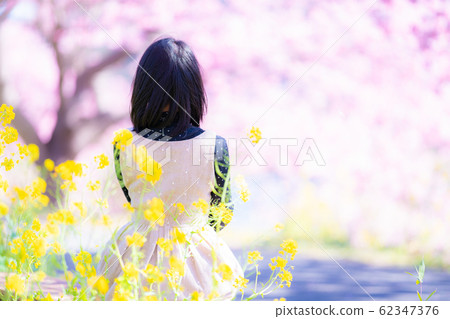 Southern Cherry Blossoms and Rape Blossom Festival 62347376