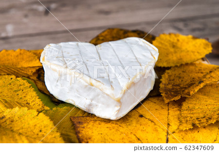 French Neufchatel cheese shaped heart on autumn 62347609
