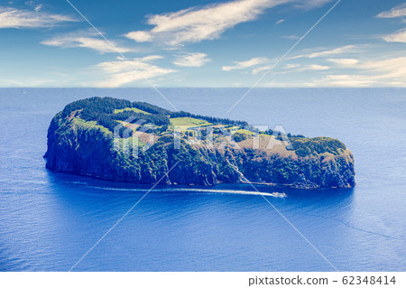 Ulleungdo Bamboo 62348414