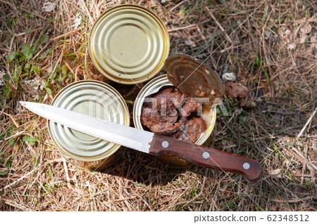 Hike food ingredient. Beef stew in cans with knife 62348512