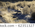 Frozen morning river fog and hoarfrost 62351327
