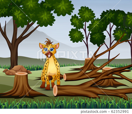 Deforestation scene with a starving hyena 62352991