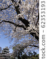 Matsumoto Castle in full spring 62353193