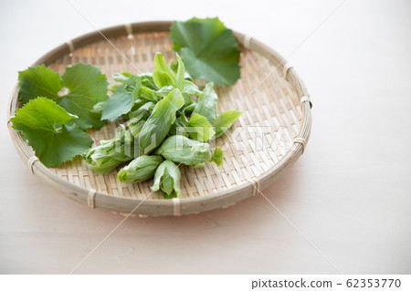 竹草和葉子在幻燈片 62353770