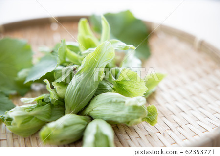 竹草和葉子在幻燈片 62353771