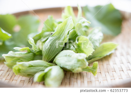 竹草和葉子在幻燈片 竹草和葉子在幻燈片 62353773
