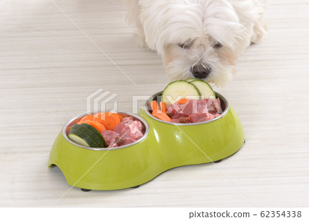 Dog eating natural food from a bowl Dog eating natural food from a bowl 62354338