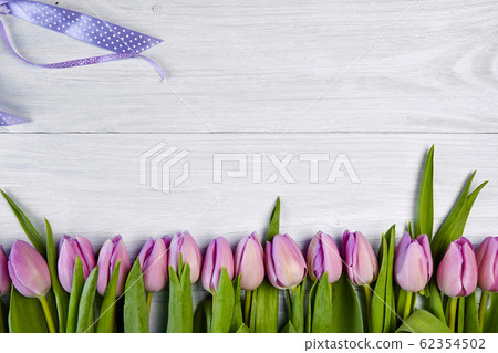 Pink tulips on white wooden background, banner Pink tulips on white wooden background, banner 62354502