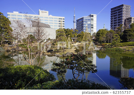 老安田花園 62355737