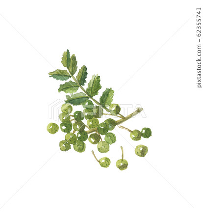 Sansho藍色水果 62355741