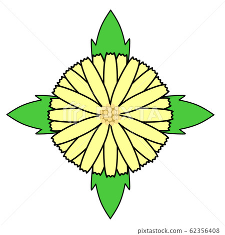 Dandelion with leaves 62356408