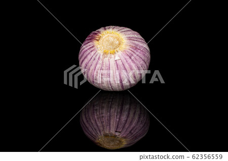 Single clove garlic isolated on black glass 62356559
