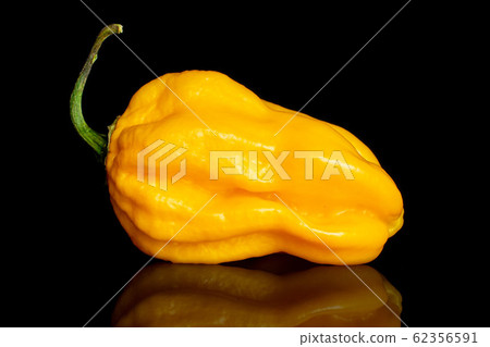 Hot chili pepper isolated on black glass 62356591