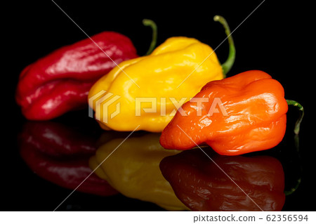 Hot chili pepper isolated on black glass Hot chili pepper isolated on black glass 62356594