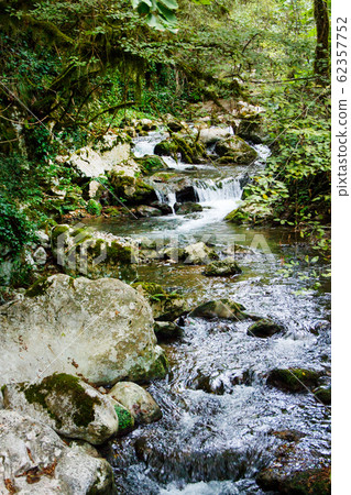 River stream in the natural reserve of Morigerati 62357752