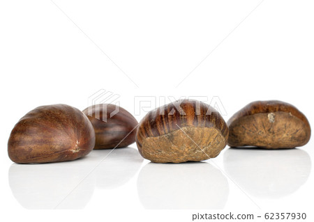 Brown edible chestnut isolated on white Brown edible chestnut isolated on white 62357930