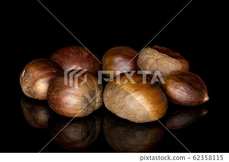Brown edible chestnut isolated on black glass 62358115