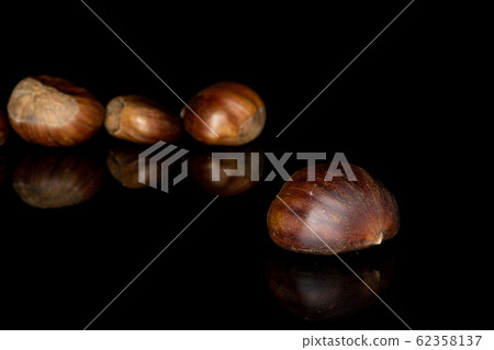 Brown edible chestnut isolated on black glass Brown edible chestnut isolated on black glass 62358137