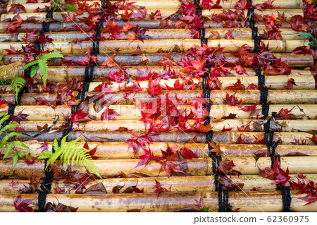 The rainfall of Naojian, autumn leaves scattered on the bamboo well lid The rainfall of Naojian, autumn leaves scattered on the bamboo well lid 62360975
